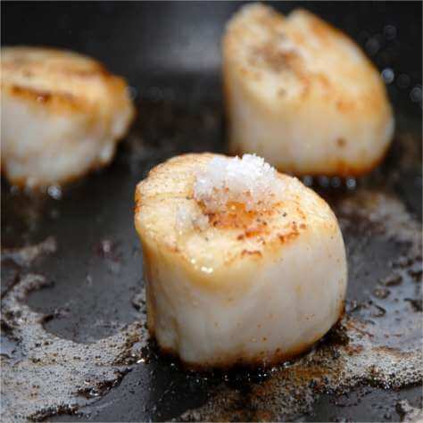 food : coquilles St-Jacques